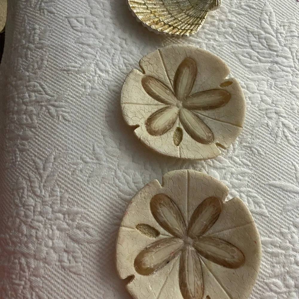 Sand Dollars and shell Decor Set - Picture 1 of 11